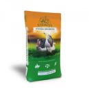 e-shop zdarma